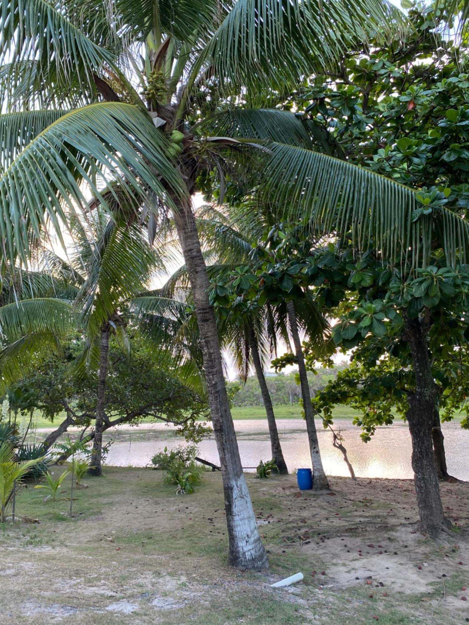 Lindo Flat Pe Na Areia *
